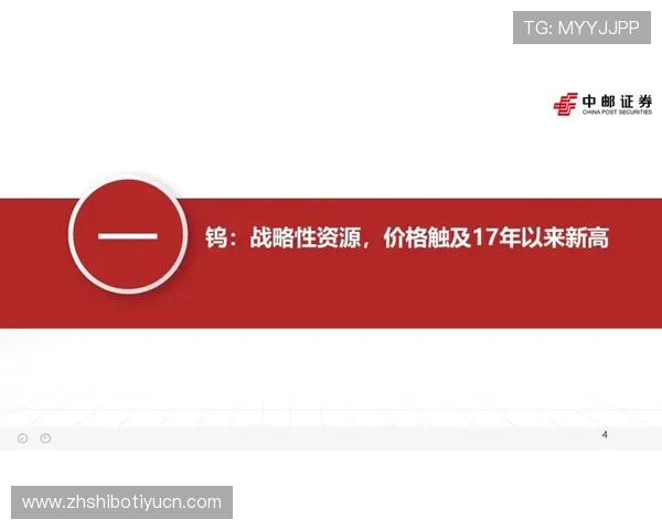 飞驰国际入口的优势与发展潜力分析，助你快速了解行业前景